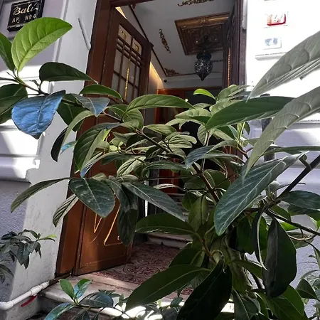 Bali Star 3*
