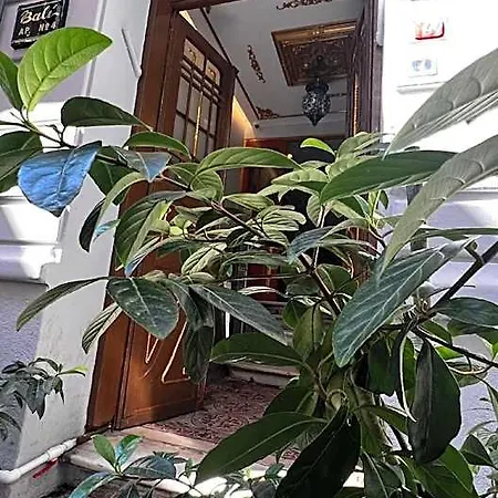 Bali Star Istanbulská provincie