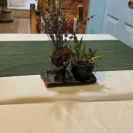 Bali Star Hotel Istambul